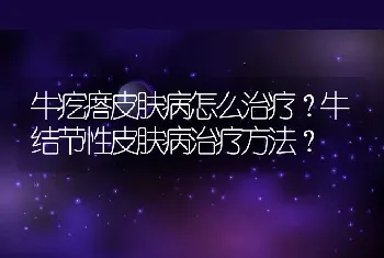 牛疙瘩皮肤病怎么治疗？牛结节性皮肤病治疗方法？