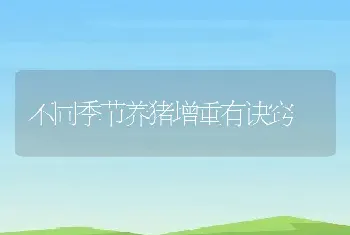 小丑鱼的繁殖技巧