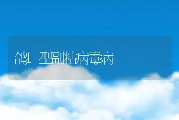 鸽I型副粘病毒病