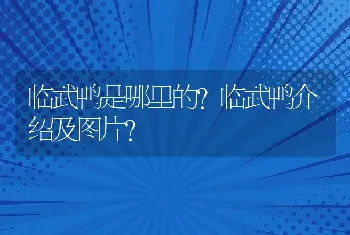 临武鸭是哪里的？临武鸭介绍及图片？