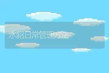 水貂日常管理方法