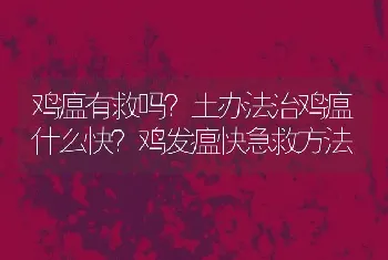 鸡瘟有救吗？土办法治鸡瘟什么快？鸡发瘟快急救方法