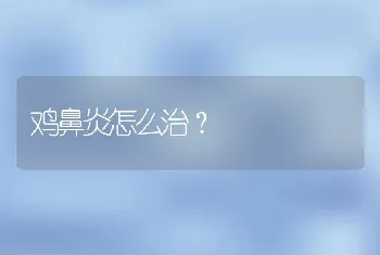 鸡鼻炎怎么治？