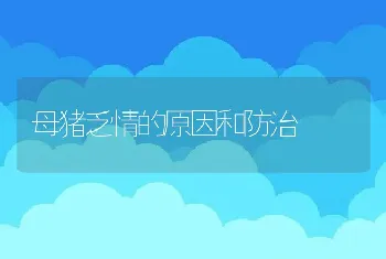 母猪乏情的原因和防治