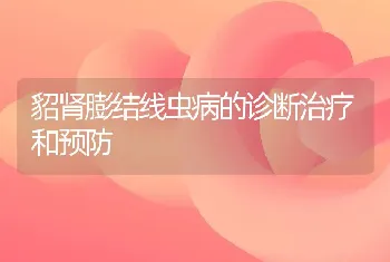 貂肾膨结线虫病的诊断治疗和预防