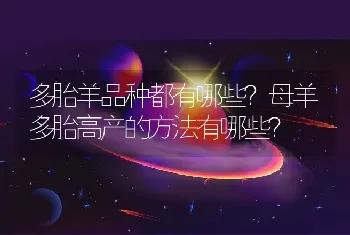 多胎羊品种都有哪些？母羊多胎高产的方法有哪些？