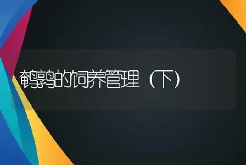 鹌鹑支气管炎的防治法