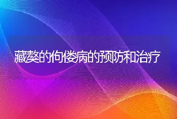 藏獒的佝偻病的预防和治疗