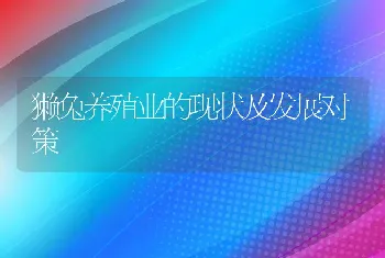 獭兔养殖业的现状及发展对策