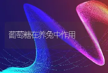 鹌鹑病防治技术：鹌鹑新城疫