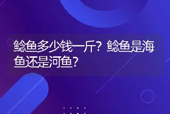 鲶鱼多少钱一斤？鲶鱼是海鱼还是河鱼？