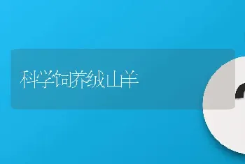 鲤鱼受精卵收集的新法