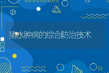 猪水肿病的综合防治技术