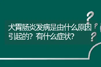 犬胃肠炎发病是由什么原因引起的？有什么症状？