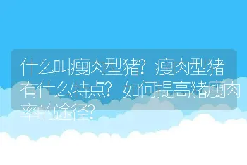 什么叫瘦肉型猪?瘦肉型猪有什么特点?如何提高猪瘦肉率的途径?