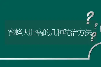 蜜蜂大肚病的几种防治方法