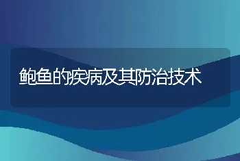 鲍鱼的疾病及其防治技术