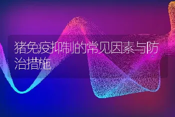 猪免疫抑制的常见因素与防治措施