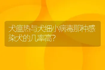 犬瘟热与犬细小病毒那种感染犬的几率高？