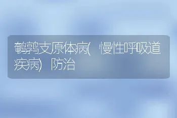 鹌鹑支原体病(慢性呼吸道疾病)防治