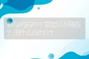 新母鸡病的主要症状有哪些?用什么药治疗？