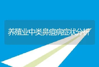 养殖业中类鼻疽病症状分析