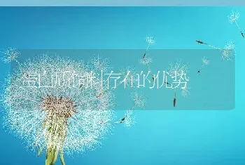 鸡肾传支病的防治措施