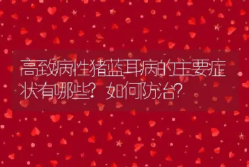 高致病性猪蓝耳病的主要症状有哪些?如何防治？