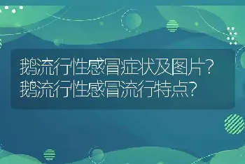 鹅流行性感冒症状及图片？鹅流行性感冒流行特点？