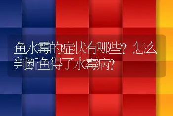 鱼水霉的症状有哪些？怎么判断鱼得了水霉病？