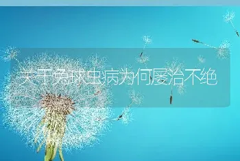 关于兔球虫病为何屡治不绝