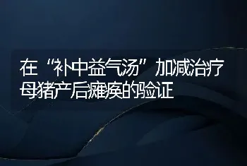 在“补中益气汤”加减治疗母猪产后瘫痪的验证