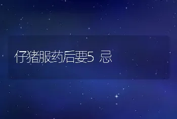 仔猪服药后要5忌