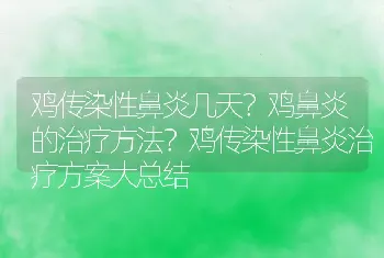 鸡传染性鼻炎几天？鸡鼻炎的治疗方法？鸡传染性鼻炎治疗方案大总结