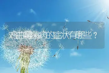 鸡曲霉菌病的症状有哪些？