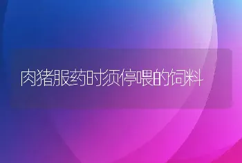 肉猪服药时须停喂的饲料