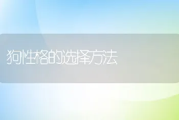 狗性格的选择方法