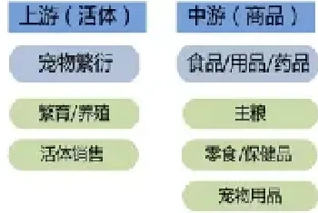 宠物食品行业研究报告 |[九鼎研报]