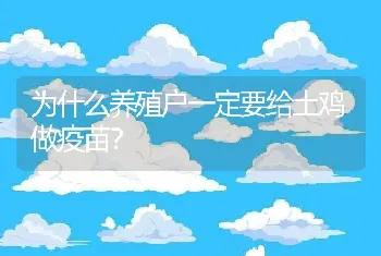 为什么养殖户一定要给土鸡做疫苗？