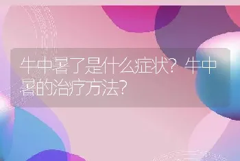 牛中暑了是什么症状？牛中暑的治疗方法？