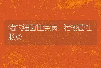 狐、貉妊娠期及产仔期常发病