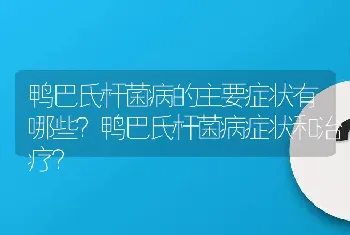 鸭巴氏杆菌病的主要症状有哪些？鸭巴氏杆菌病症状和治疗？