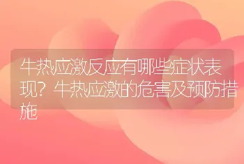 牛热应激反应有哪些症状表现？牛热应激的危害及预防措施