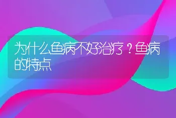 为什么鱼病不好治疗？鱼病的特点