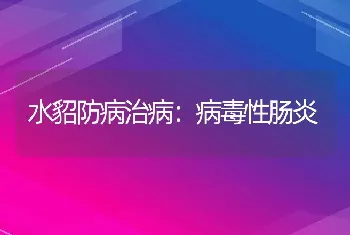 水貂防病治病：病毒性肠炎