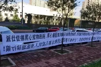 过街老鼠，人人喊打-职业医闹近日再现宠物医疗行业