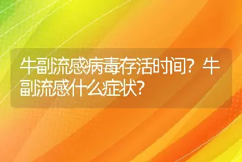 牛副流感病毒存活时间？牛副流感什么症状？