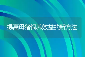 提高母猪饲养效益的新方法