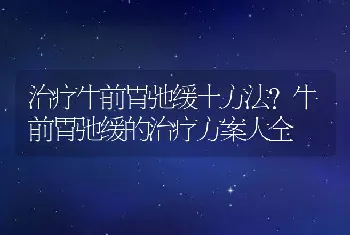 治疗牛前胃弛缓土方法？牛前胃弛缓的治疗方案大全