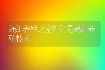 蝇蛆养殖之室外简易蝇蛆养殖技术